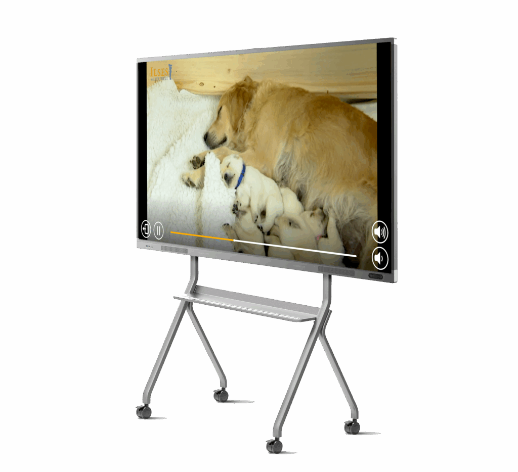 Tiervideo auf ANNA Unterhaltung